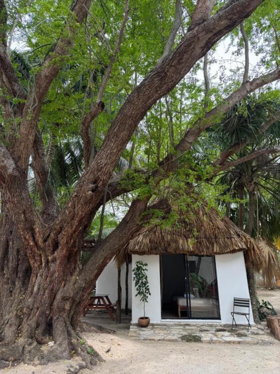 Cabanas Camping Ria סלסטון מראה חיצוני תמונה