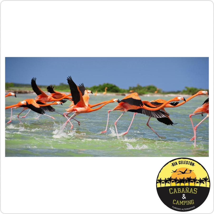 Cabanas Camping Ria סלסטון מראה חיצוני תמונה